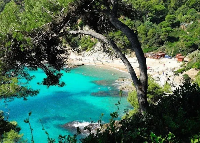 Apartament Al39 - Atico Con Barbacoa Playa Fenals *