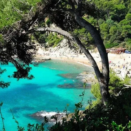 Appartamento Al39 - Atico Con Barbacoa Playa Fenals *